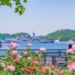 横須賀ローズガーデンからの眺め