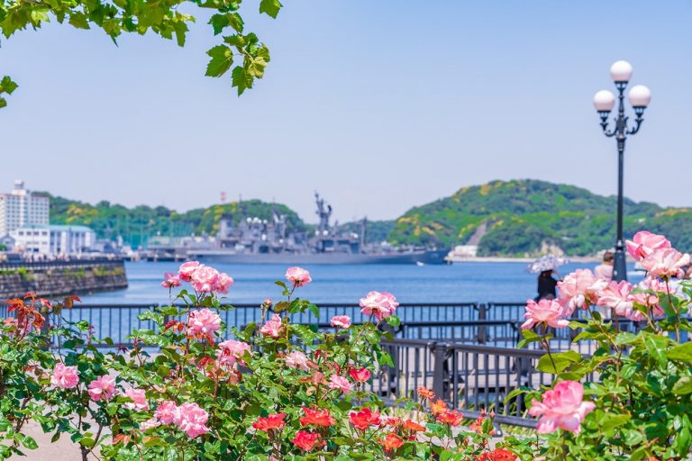 横須賀の住みやすさをチェック!治安が良く、手厚い助成が子育て世帯に人気 横須賀ローズガーデンからの眺め