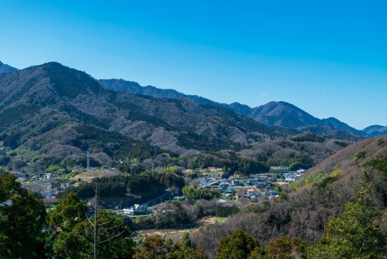 住みやすさで人気の厚木市。その理由とファミリー目線でのポイントを解説 公園から眺める厚木市