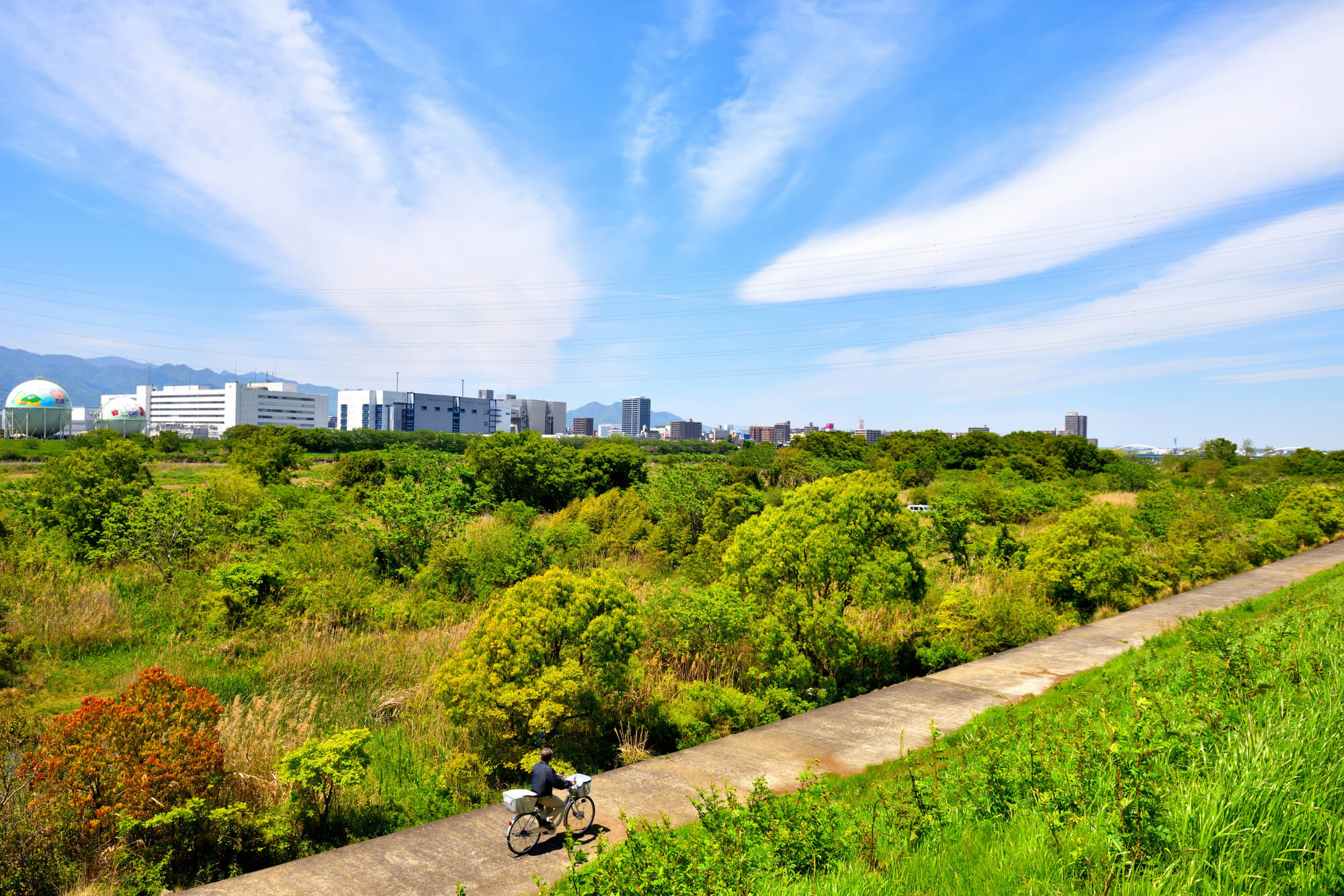 青い空と木々の緑