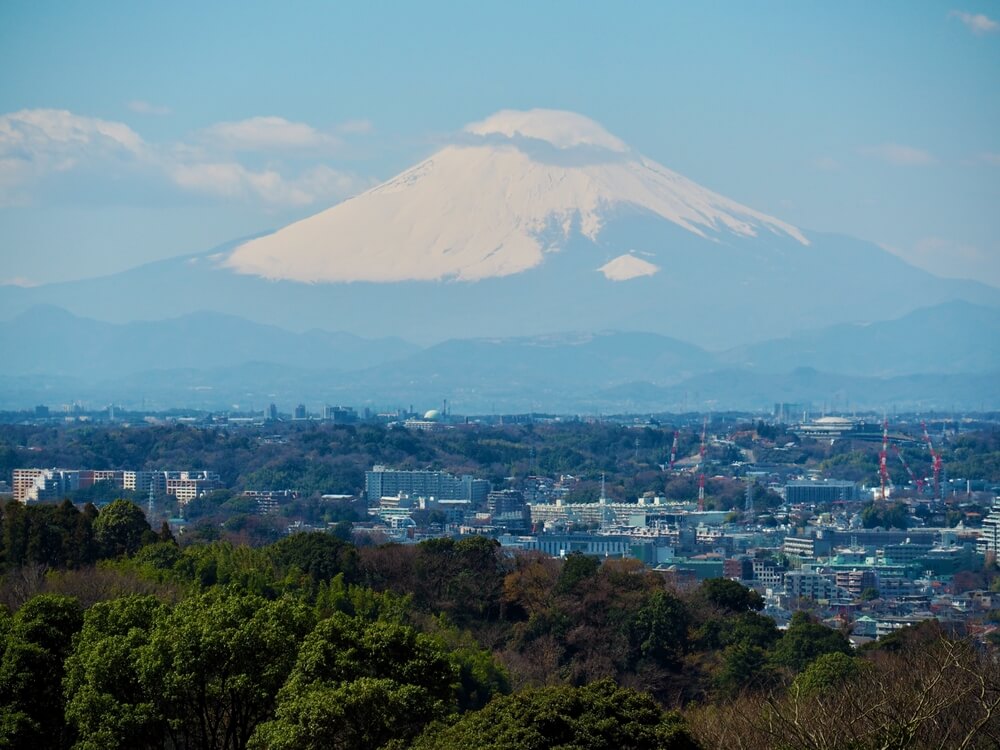 富士山を望む景色